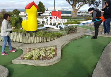 Feilding Lions Mini Golf