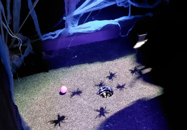 The Witching Hour Wellington